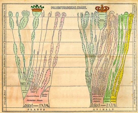 Palaeontological Chart