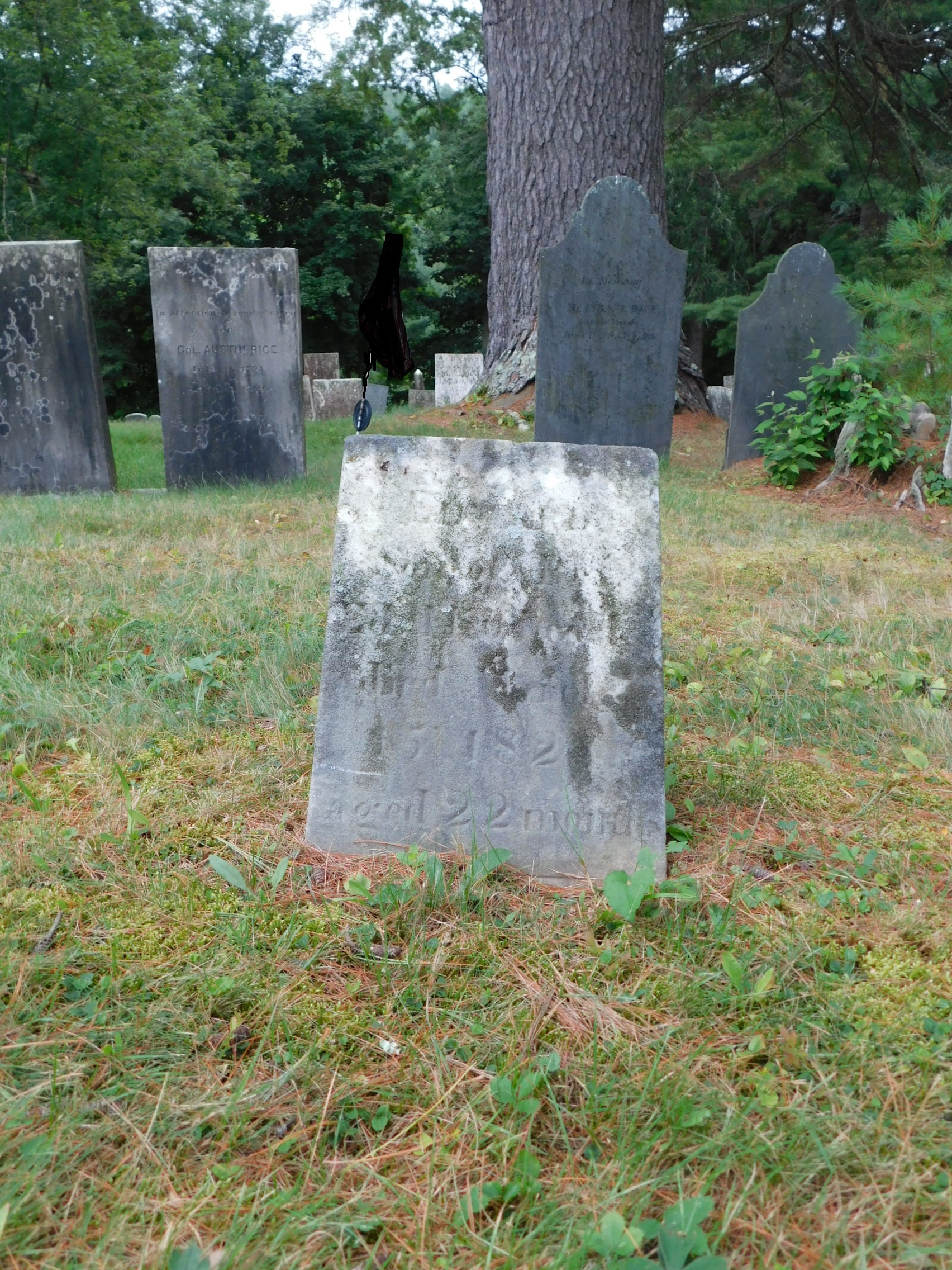 Little Edward's Grave